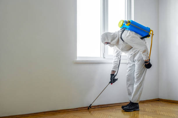 Best Affordable Pest Control Services  in Valley Center, CA